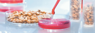 микробиологический анализ молочных продуктов