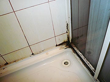Плесень на кафеле