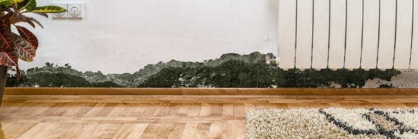Плесень на балконе