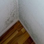 Плесень в квартире 4
