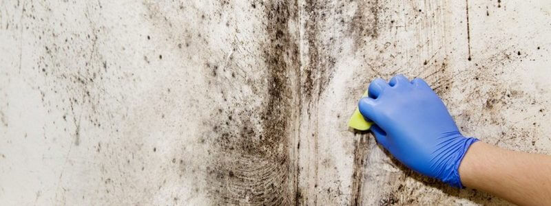очистка плесени со стен